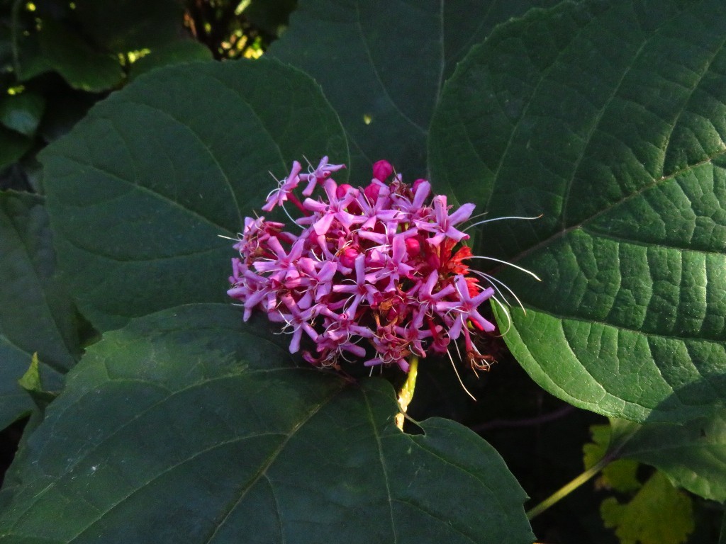 a0018655_09222618.jpg