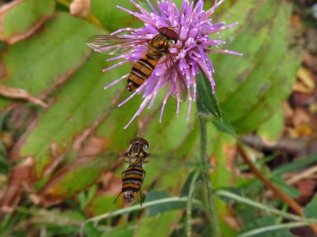a0018655_09295956.jpg