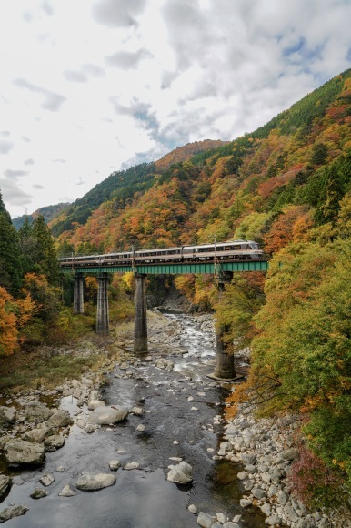 秋の高山本線と紅葉　撮影地巡り_d0352155_22345949.jpeg