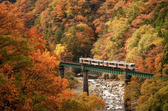 秋の高山本線と紅葉　撮影地巡り_d0352155_22353048.jpeg