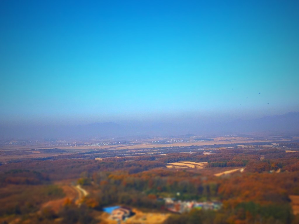 a0130057_22061502.jpg