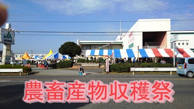 b0115959_12140716.jpg