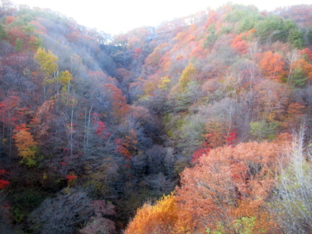 f0236260_01494410.jpg