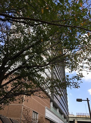 b0145863_23035634.jpg