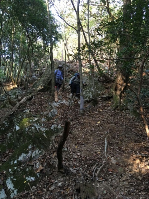 c0260463_15204964.jpg