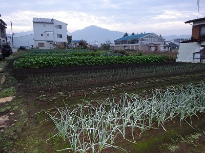 d0074063_07453632.jpg