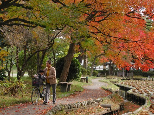 七五三祝いの頃の鶴岡公園_e0387363_09022968.jpg