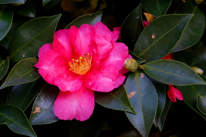 c0305565_17341212.jpg