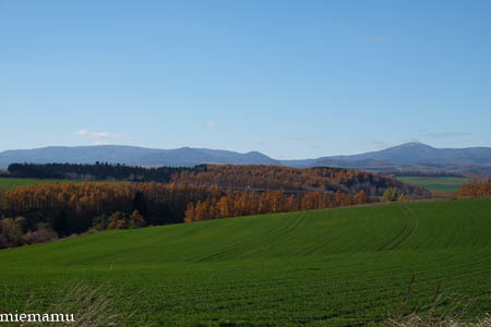 d0340565_19514222.jpg