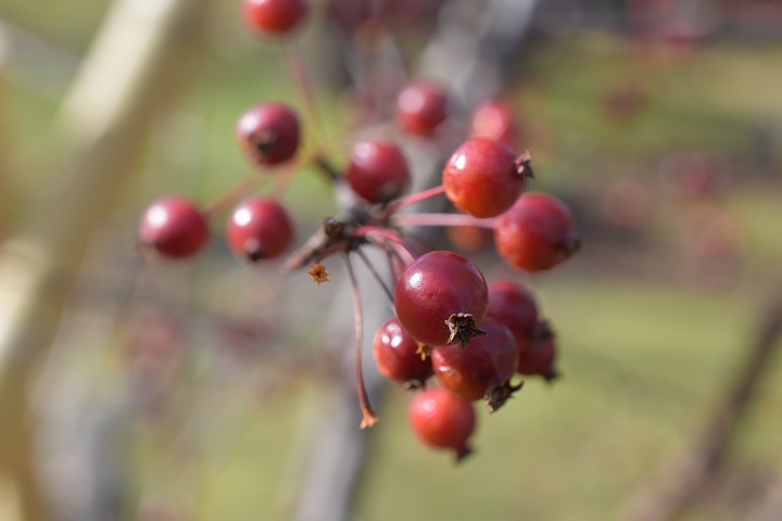 f0362073_15542440.jpg