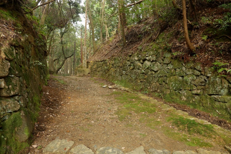 c0196076_18440864.jpg
