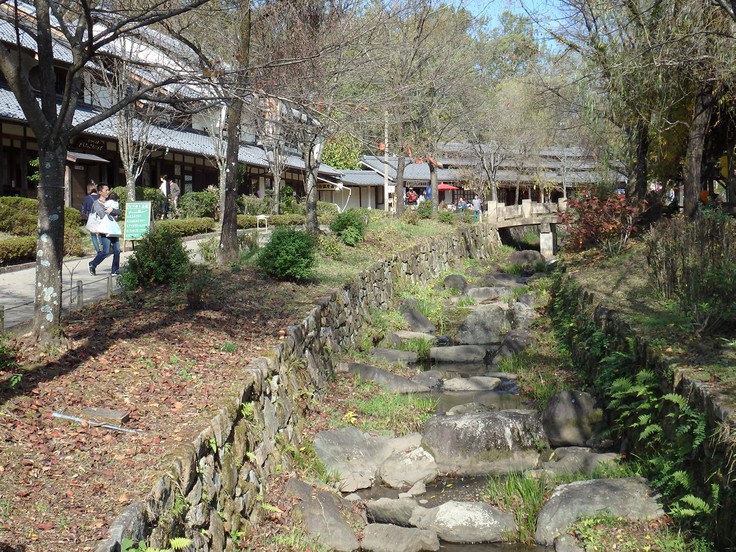 『ぎふ清流里山公園の秋散歩　1』_d0054276_20373397.jpg