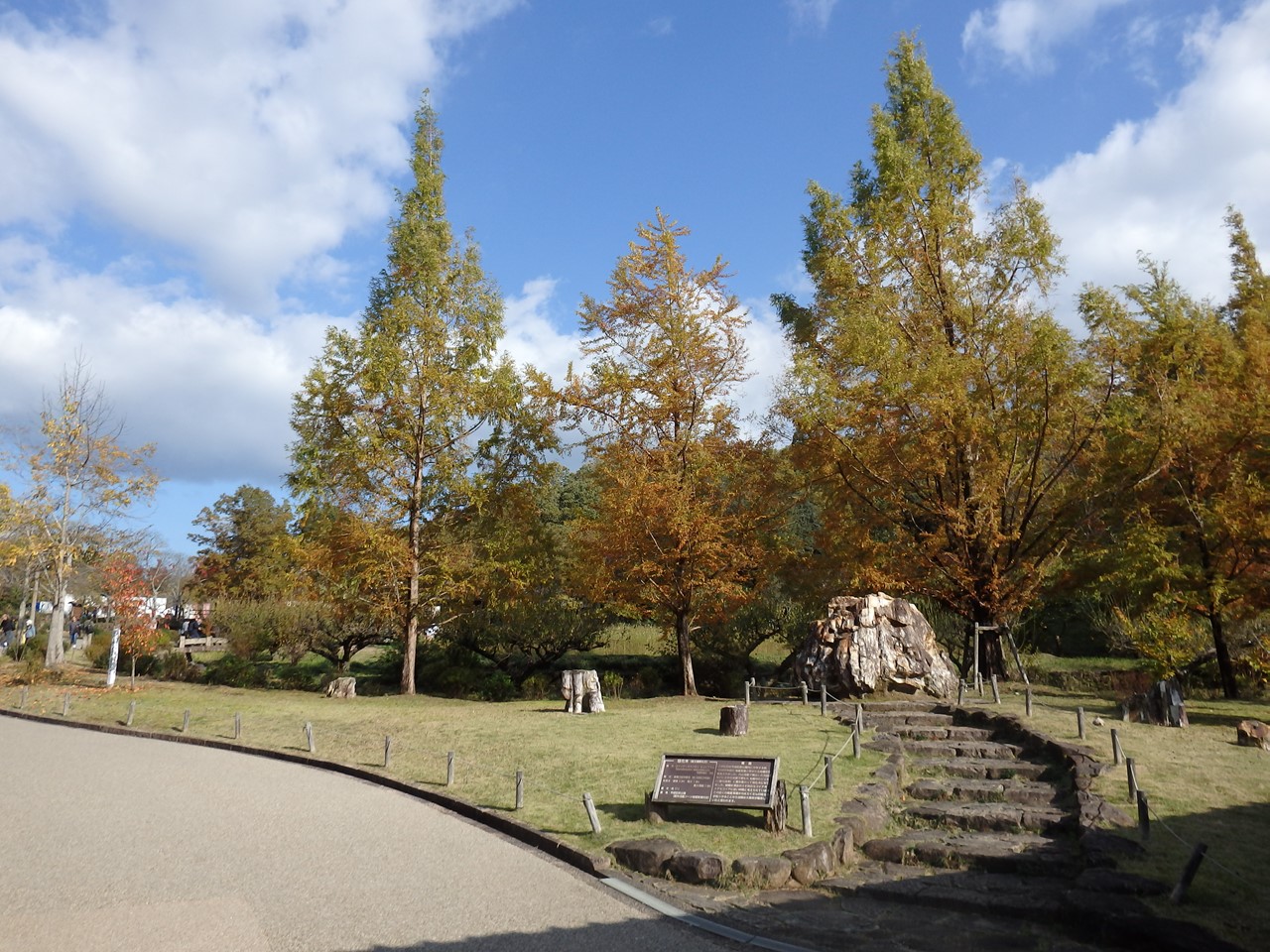 『ぎふ清流里山公園の秋散歩　1』_d0054276_20374493.jpg