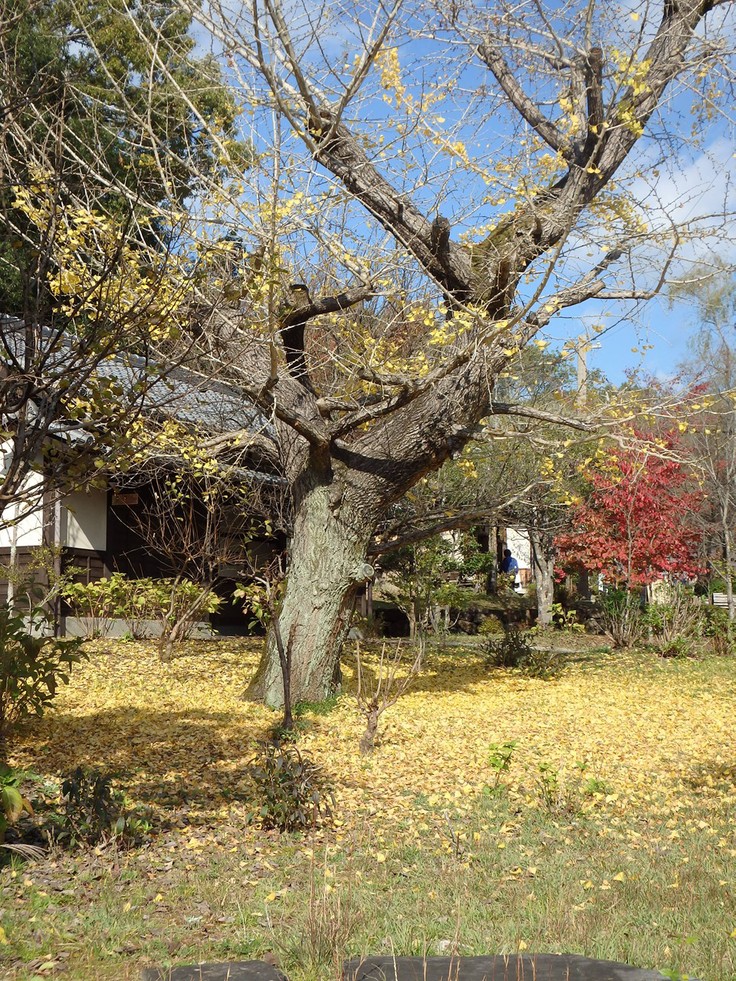 d0054276_20383130.jpg
