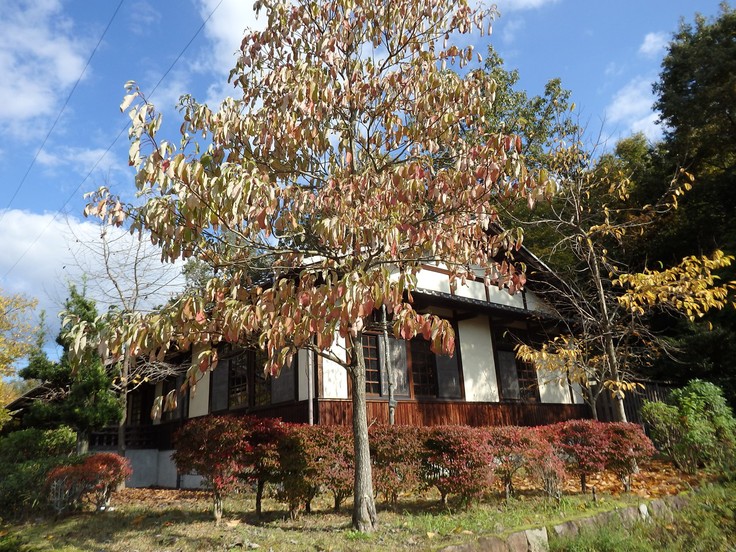 d0054276_20402119.jpg