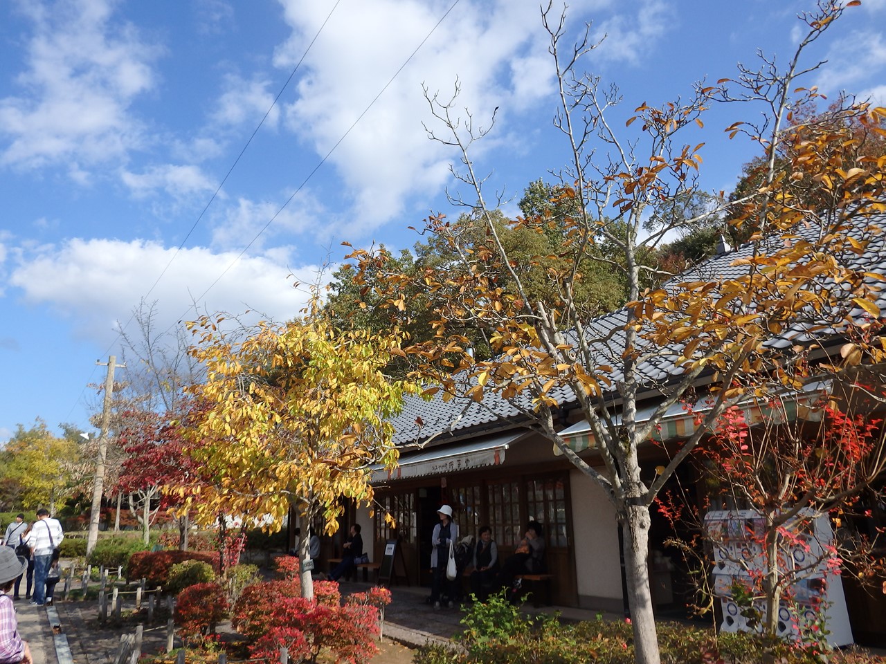 『ぎふ清流里山公園の秋散歩　1』_d0054276_20403210.jpg