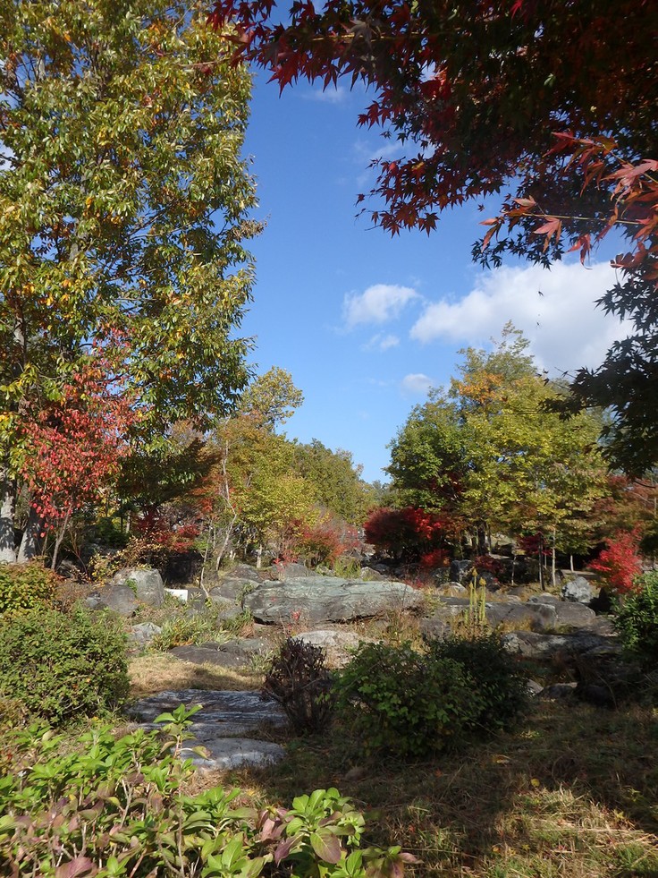 『ぎふ清流里山公園の秋散歩　1』_d0054276_20405652.jpg