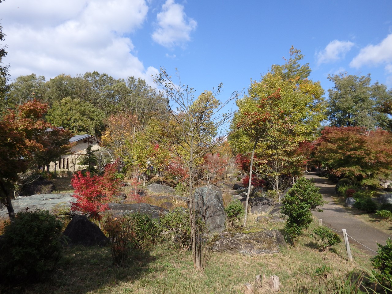 『ぎふ清流里山公園の秋散歩　1』_d0054276_20413245.jpg