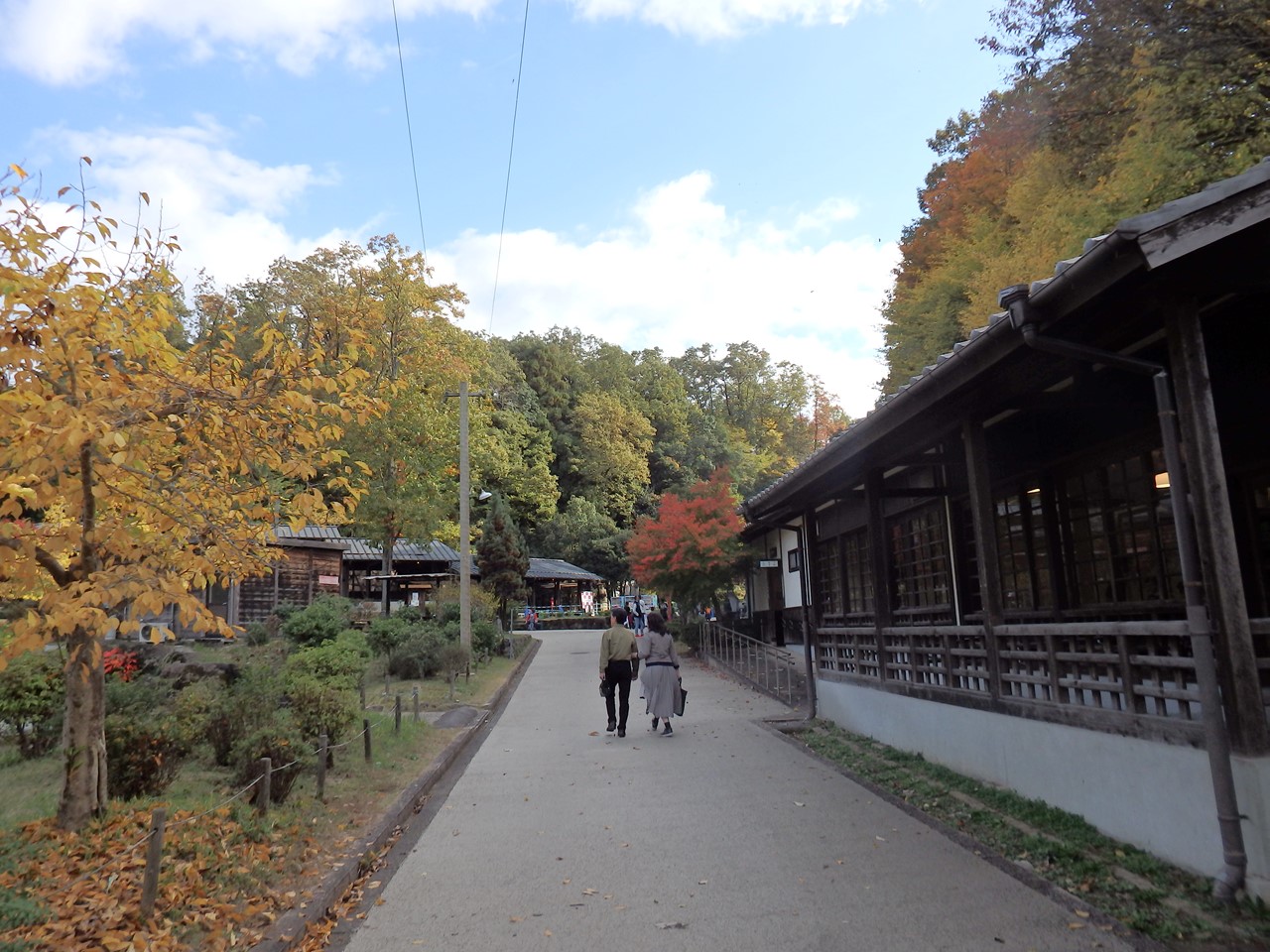 『ぎふ清流里山公園の秋散歩　1』_d0054276_20424596.jpg