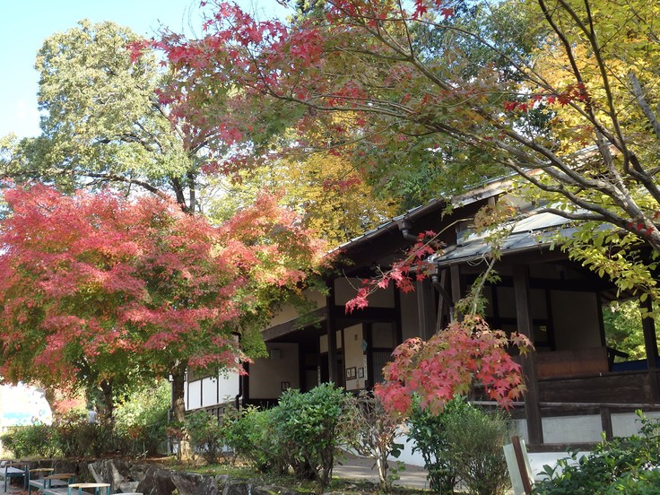 『ぎふ清流里山公園の秋散歩　1』_d0054276_20431893.jpg