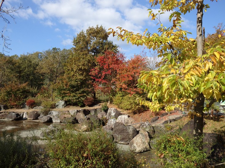 『ぎふ清流里山公園の秋散歩　1』_d0054276_20433182.jpg