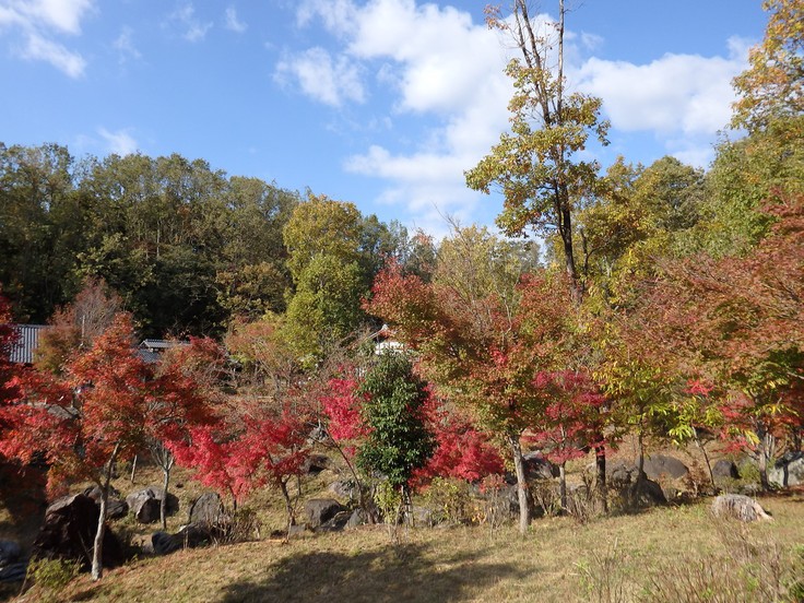 『ぎふ清流里山公園の秋散歩　1』_d0054276_20443399.jpg