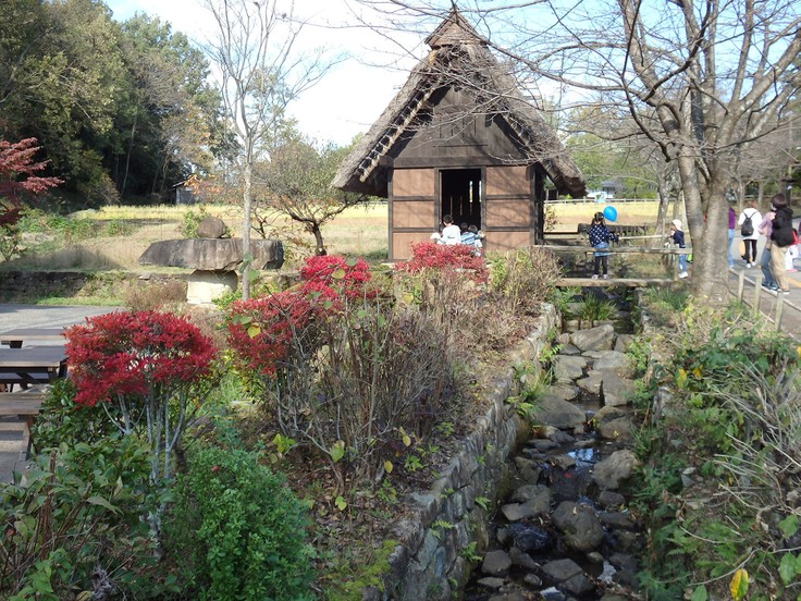 『ぎふ清流里山公園の秋散歩　1』_d0054276_2046411.jpg