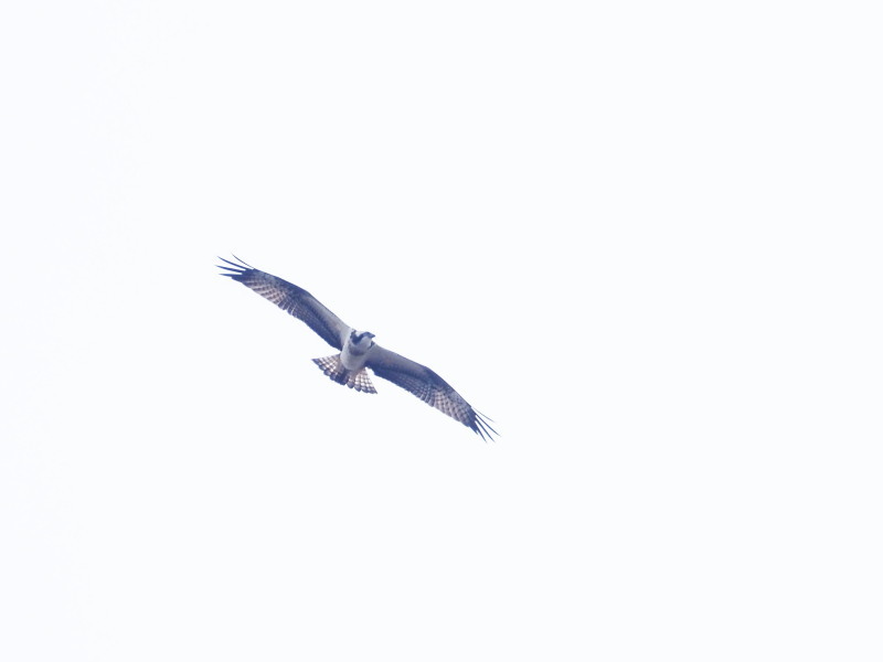 f0372177_21211662.jpg