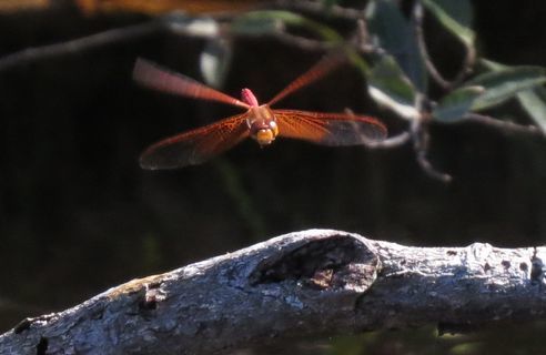 d0020180_09465017.jpg