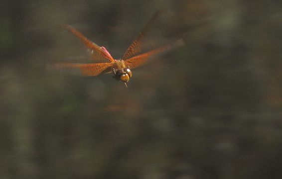d0020180_09480677.jpg
