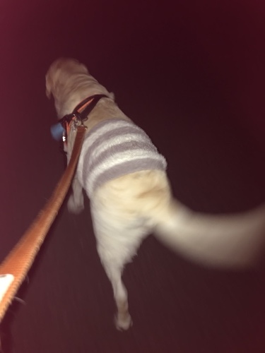 f0315081_17580222.jpeg
