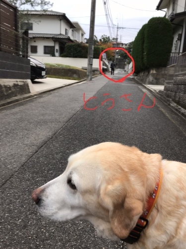 f0315081_17595436.jpeg
