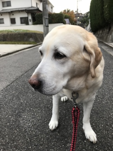 f0315081_18011973.jpeg