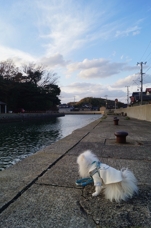 d0129083_19195373.jpg