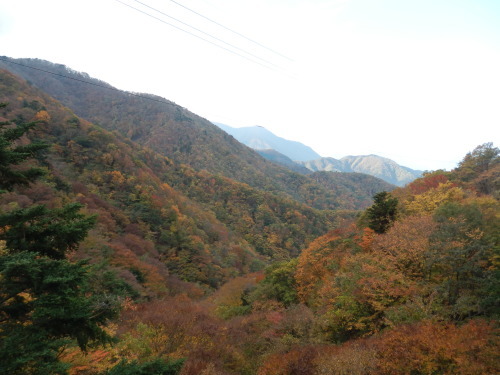 b0334084_21305472.jpg