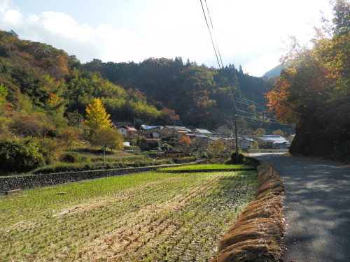 b0334084_21320092.jpg