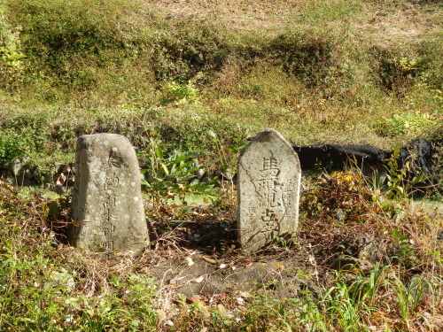 b0334084_21321277.jpg