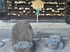 f0017185_09353126.jpg