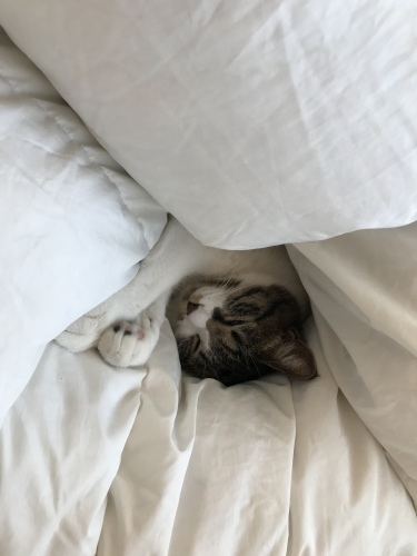 c0340786_20571451.jpeg