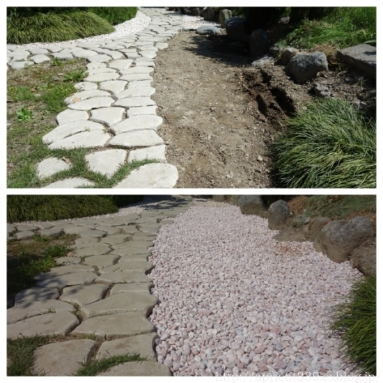 2018年の庭しごとの振り返り BEFORE→AFTER_c0293787_16364687.jpg