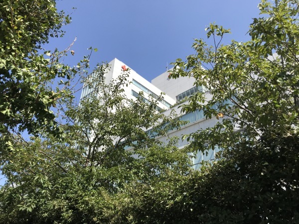 広尾日赤病院でのドラマ 青山ぱせり日記 広尾日赤病院でのドラマ 青山ぱせり日記