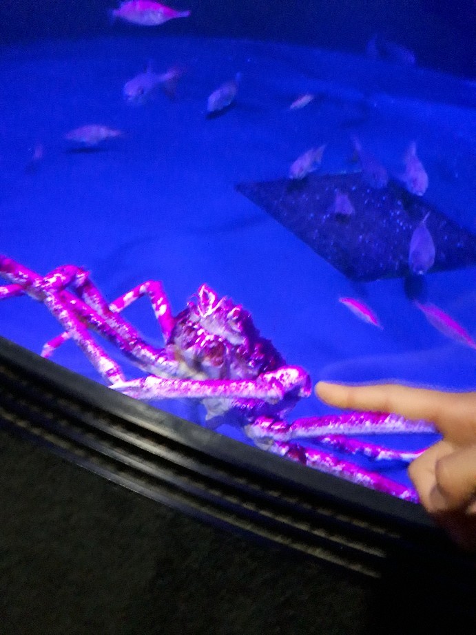d0245490_14350218.jpg