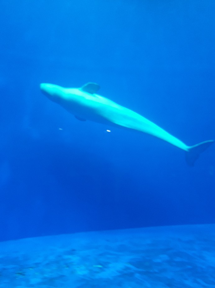 d0245490_14375766.jpg