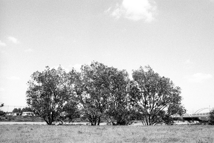 c0386291_05492367.jpg
