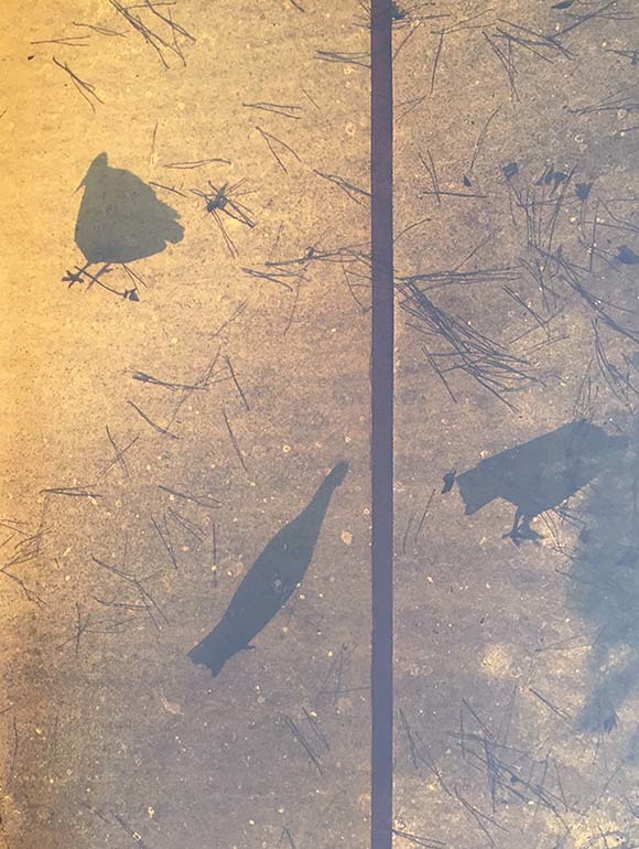 c0260295_00443880.jpg