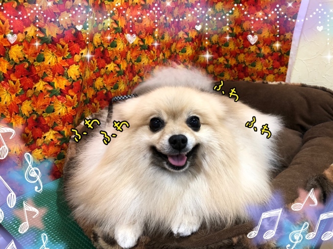 d0269898_18270718.jpeg