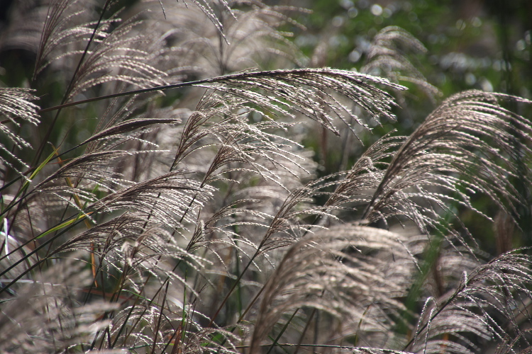 f0130601_21294112.jpg