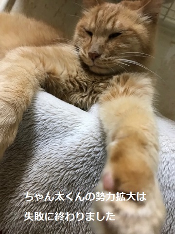 勢力拡大計画?_f0242002_11421714.jpg