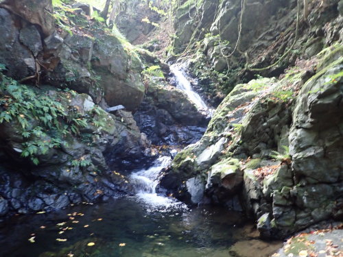 d0342206_21532584.jpg