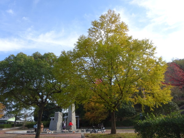 f0231709_12110524.jpg